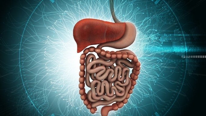 Irritable bowel syndrome(IBS) with constipation can be cured by new treatment