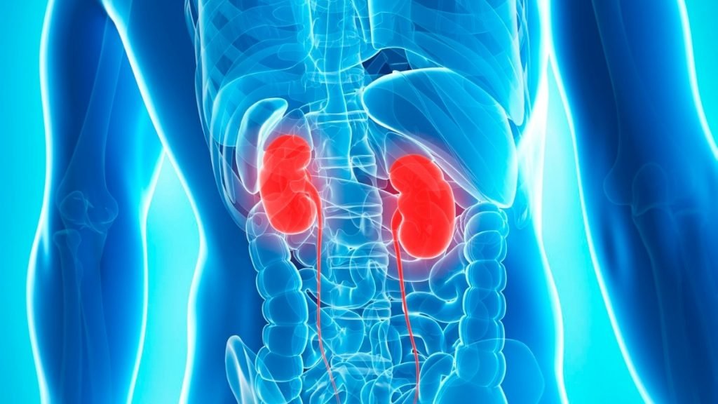 First-degree relative with kidney disease increases risk by three-fold