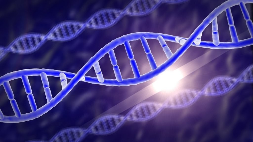 Gene variants increase risk of Addison's disease